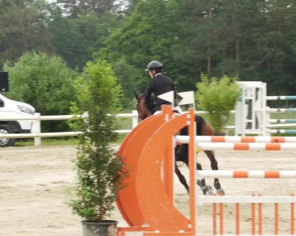 Reitturnier Nordstetten- Horb 2024