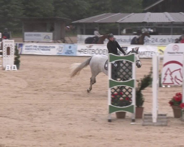 Reitturnier Ranshofen - Braunau am Inn 2024