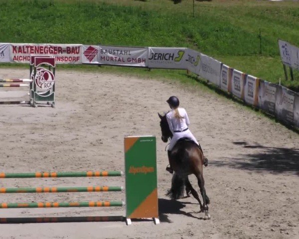 Reitturnier Zeltweg-Farrach 2023