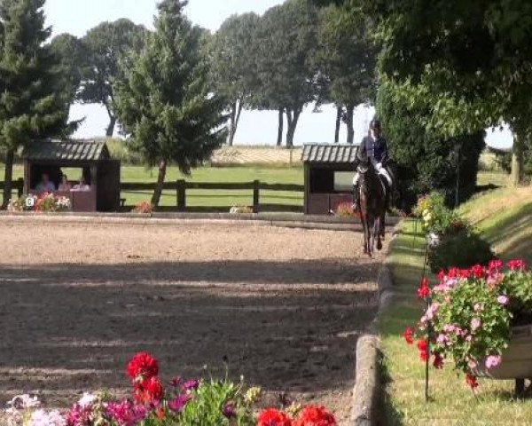 Datteln 2012
