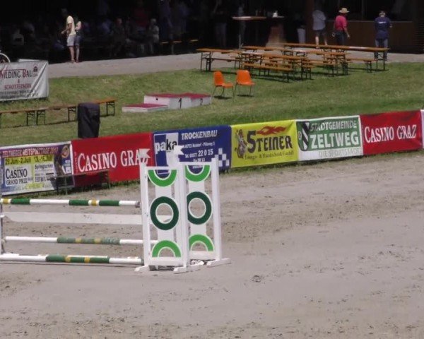 Reitturnier Zeltweg-Farrach 2023