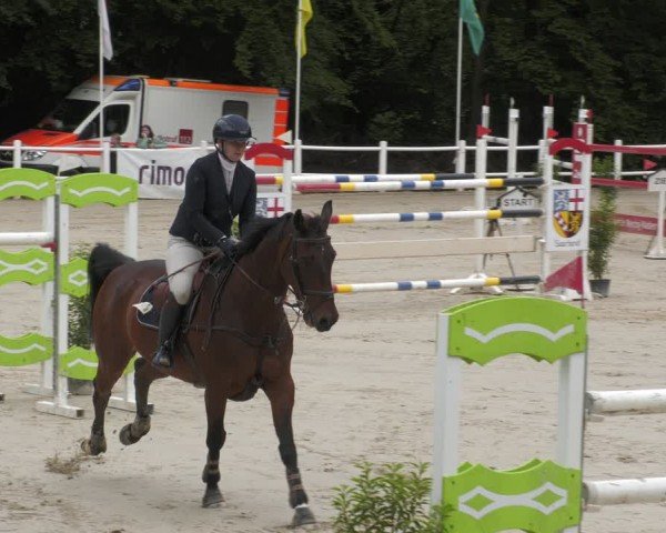 Reitturnier Losheim am See 2024
