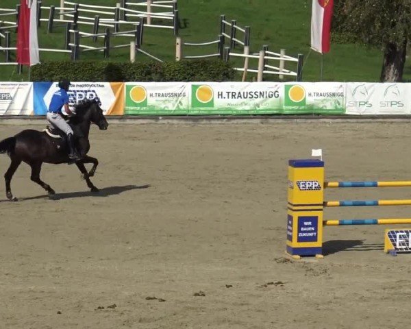 Reitturnier Piber 2023