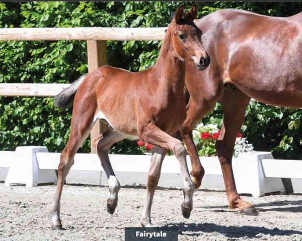 horse Fairytale (Oldenburg, 2024, from For Dance)