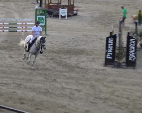 Reitturnier Piber 2023