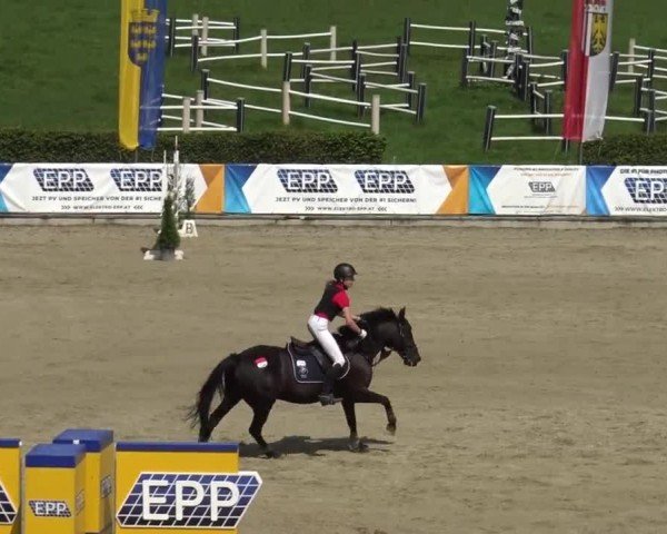 Reitturnier Piber 2023