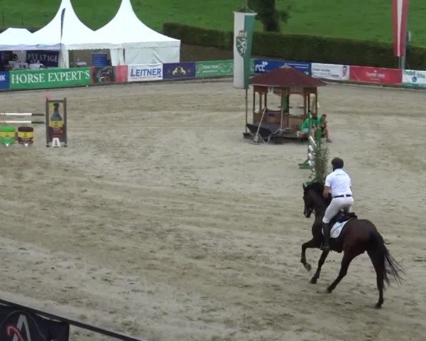Reitturnier Piber 2023