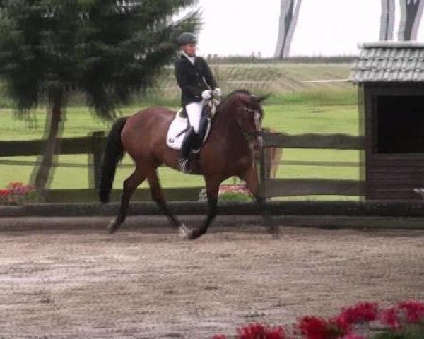 Datteln 2012