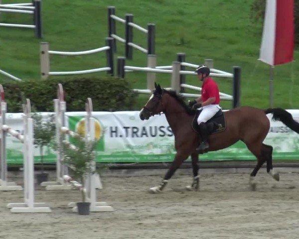 Reitturnier Piber 2023