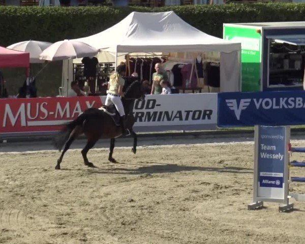 Reitturnier Piber 2023