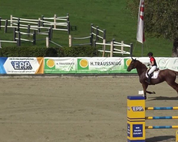 Reitturnier Piber 2023