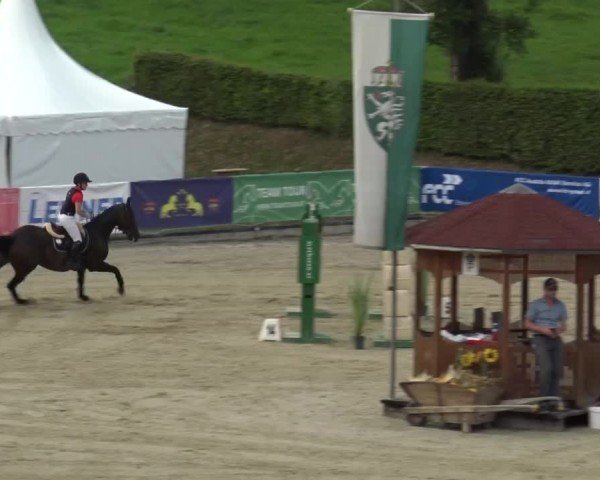 Reitturnier Piber 2023