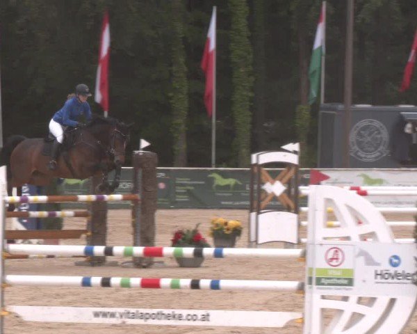 Reitturnier Ranshofen - Braunau am Inn 2024