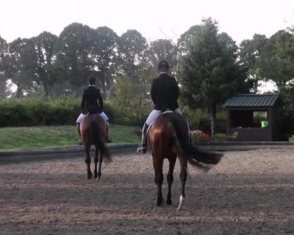 Datteln 2012