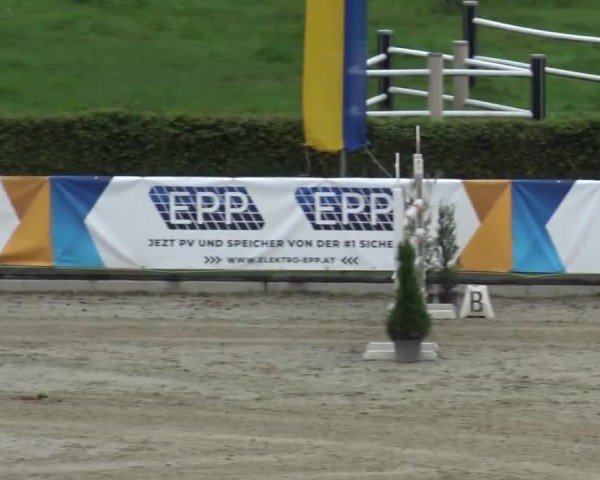Reitturnier Piber 2023