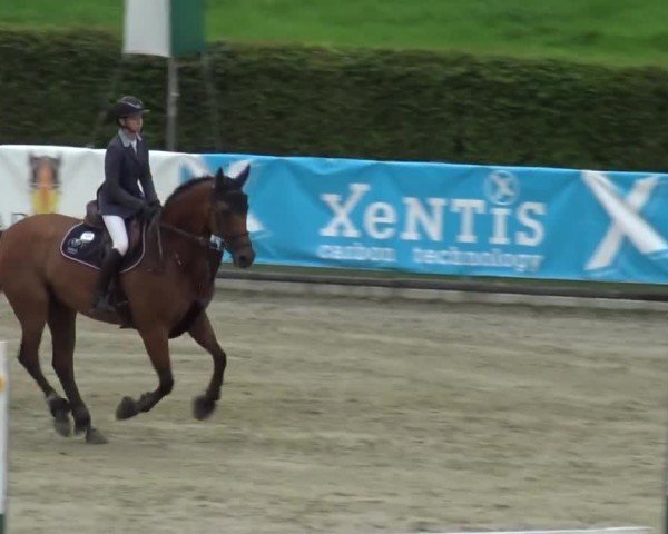 Reitturnier Piber 2023