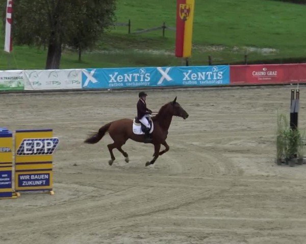 Reitturnier Piber 2023