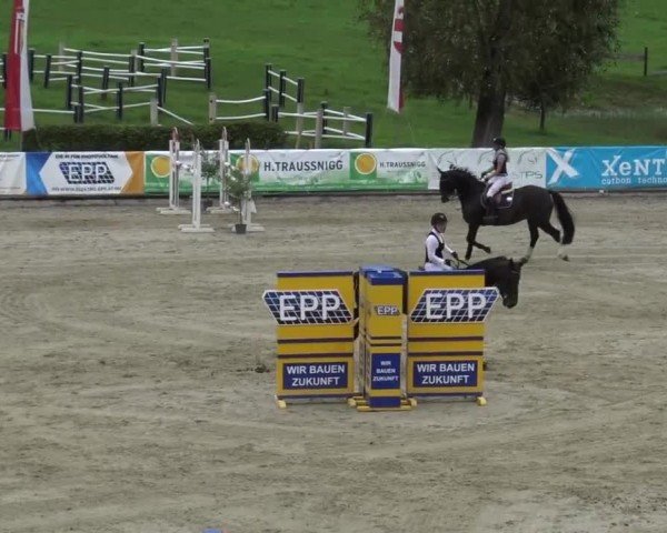 Reitturnier Piber 2023