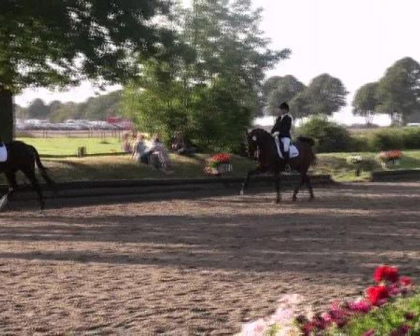 Datteln 2012