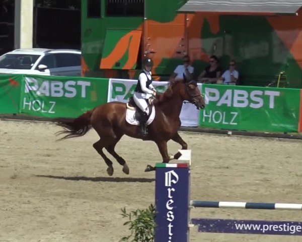 Reitturnier Piber 2023