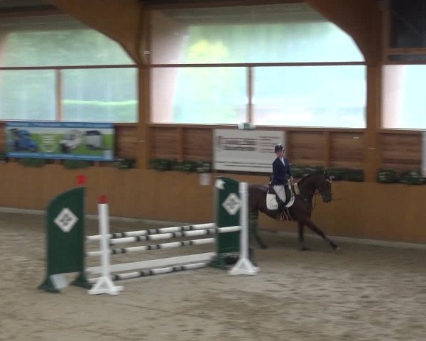 Springturnier Xanten - Reitanlage Miss 2021