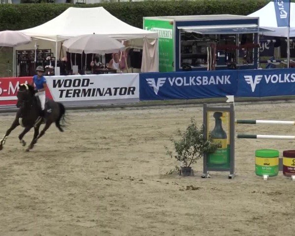 Reitturnier Piber 2023