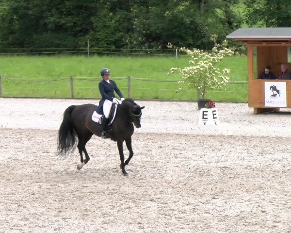 Reitturnier Gossau 2024