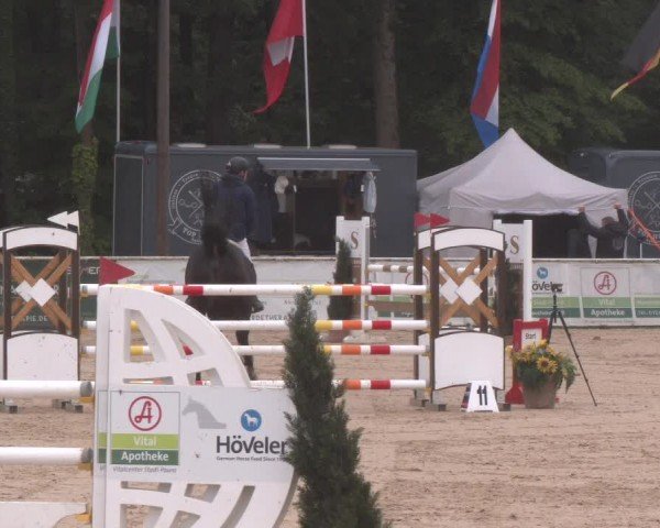 Reitturnier Ranshofen - Braunau am Inn 2024