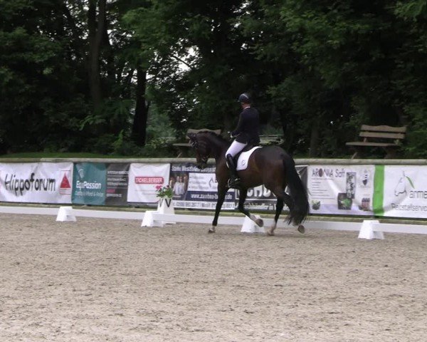 Reitturnier Ruhlsdorf 2024