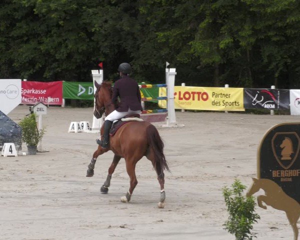 Reitturnier Losheim am See 2024