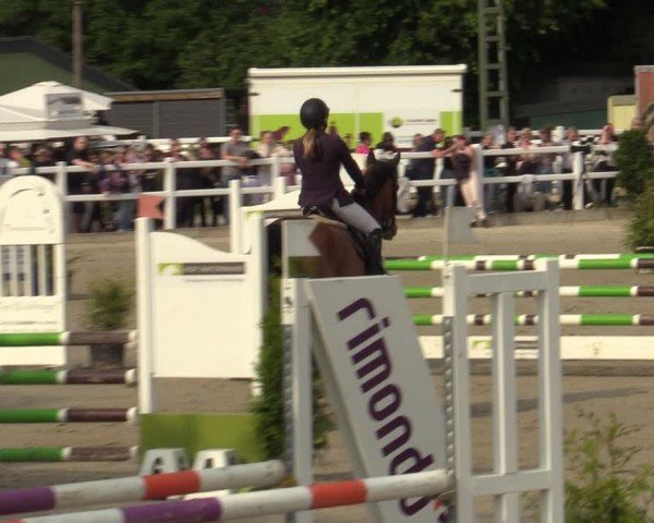 Reitturnier Dortmund-Somborn 2024