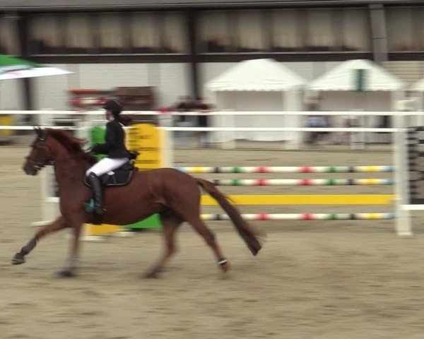 Reitturnier Dortmund-Somborn 2024