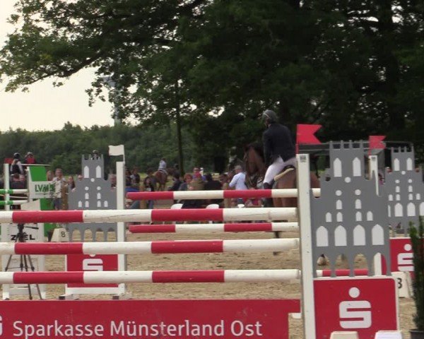 Reitturnier Münster-Angelmodde 2024