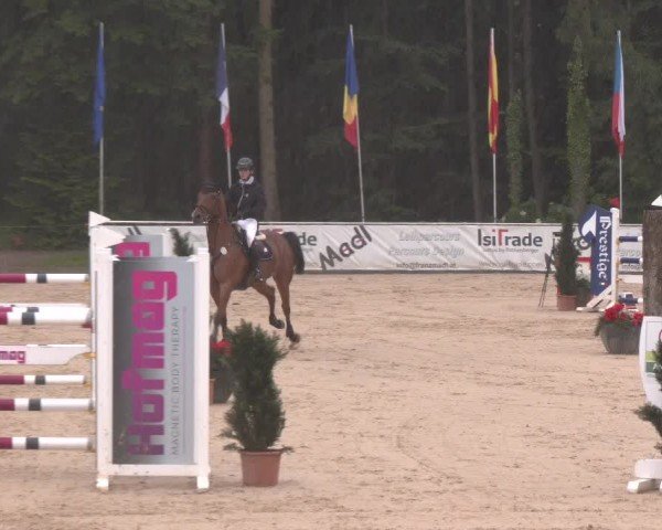 Reitturnier Ranshofen - Braunau am Inn 2024