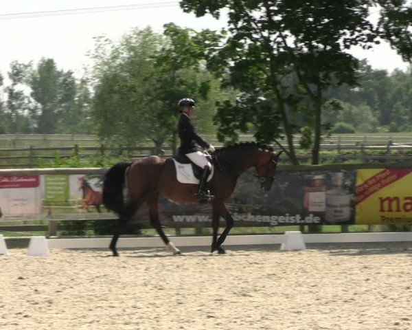 Reitturnier Ruhlsdorf 2024