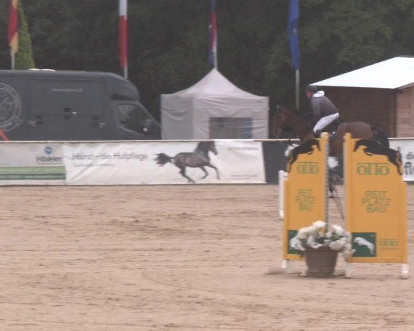 Reitturnier Ranshofen - Braunau am Inn 2024