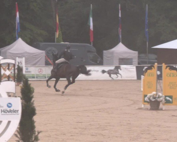 Reitturnier Ranshofen - Braunau am Inn 2024