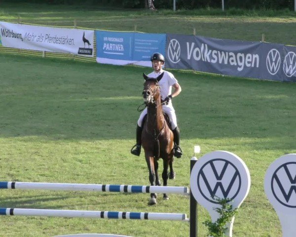 Reitturnier Wolfsburger Klassiker 2024