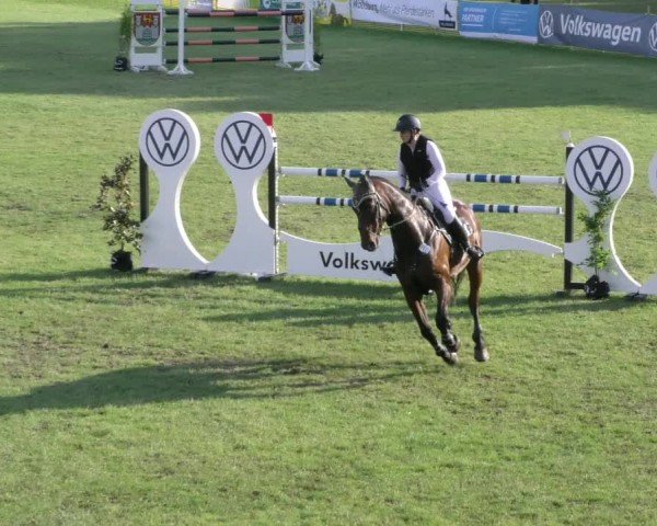 Reitturnier Wolfsburger Klassiker 2024