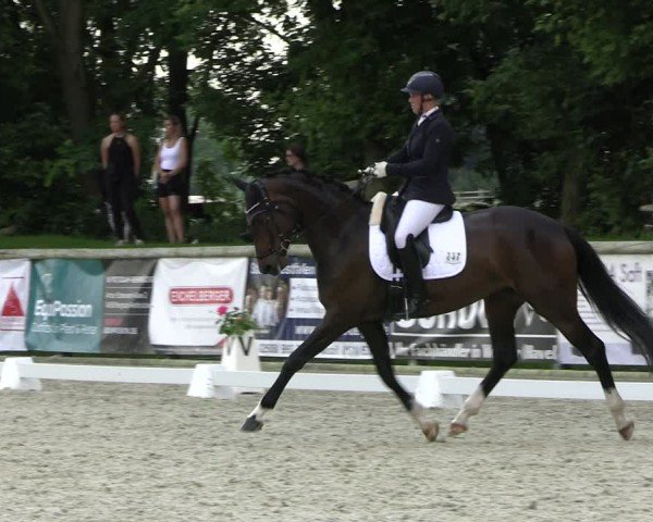 Reitturnier Ruhlsdorf 2024