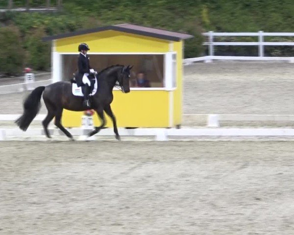 FEI Reitturnier St. Margarethen 2024