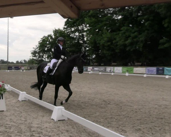 Reitturnier Ruhlsdorf 2024