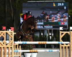 stallion Global Touch (Westphalian, 2015, from Global Express)