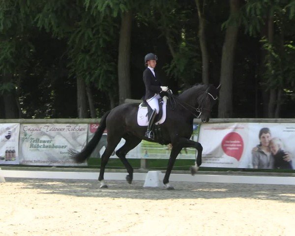 Reitturnier Ruhlsdorf 2024