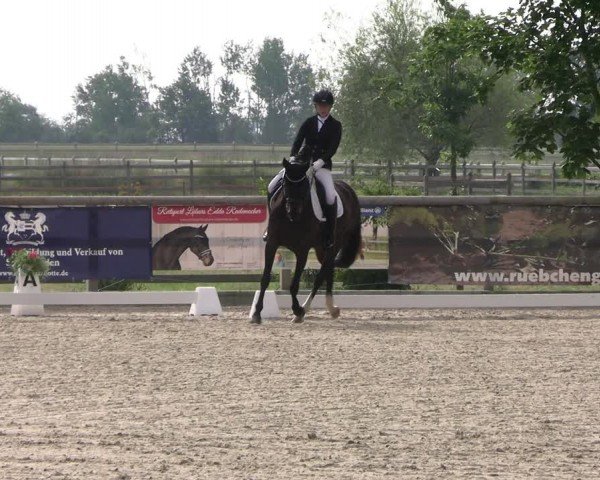 Reitturnier Ruhlsdorf 2024