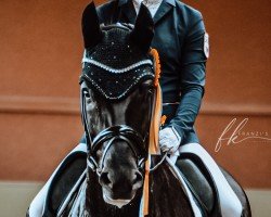 dressage horse Friedrichshagen (German Sport Horse, 2016, from Fürsten-Look)
