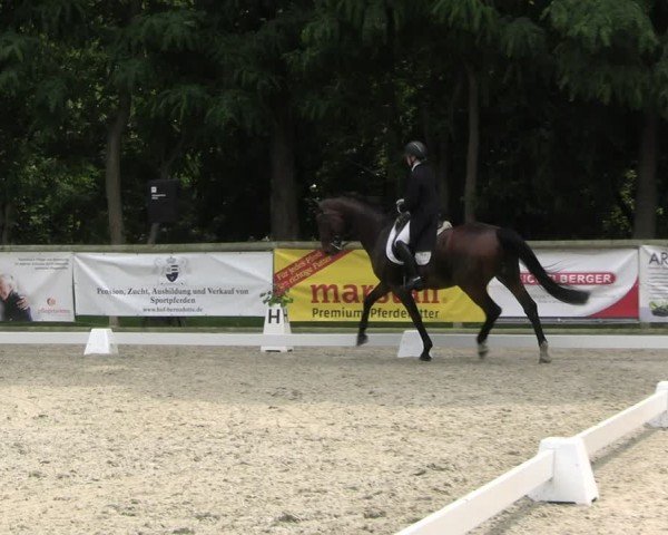 Reitturnier Ruhlsdorf 2024