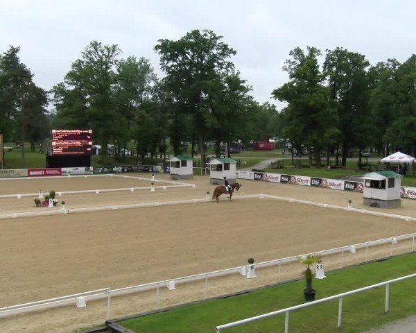 FEI internationales Paralympisches Turnier Stadl-Paura 2024