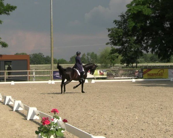 Reitturnier Ruhlsdorf 2024