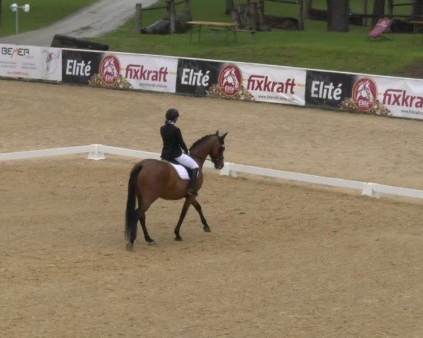 FEI internationales Paralympisches Turnier Stadl-Paura 2024
